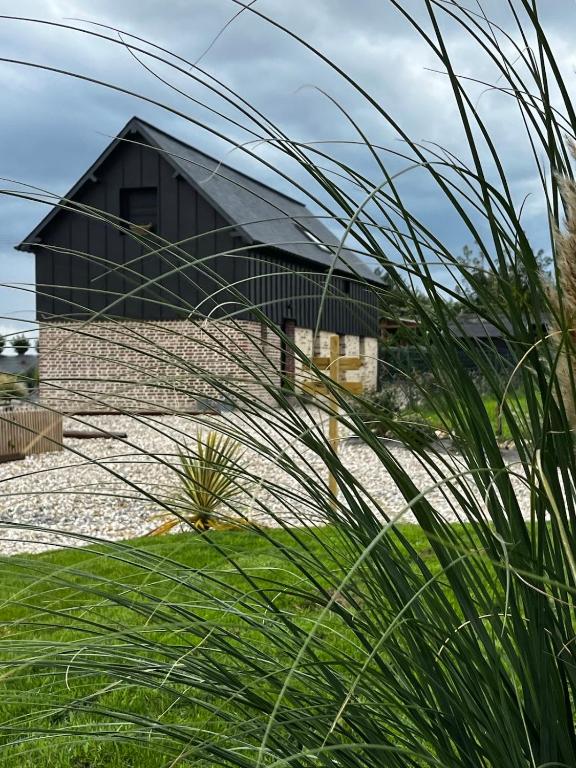 Le Petit Cottage - B&B Gauville