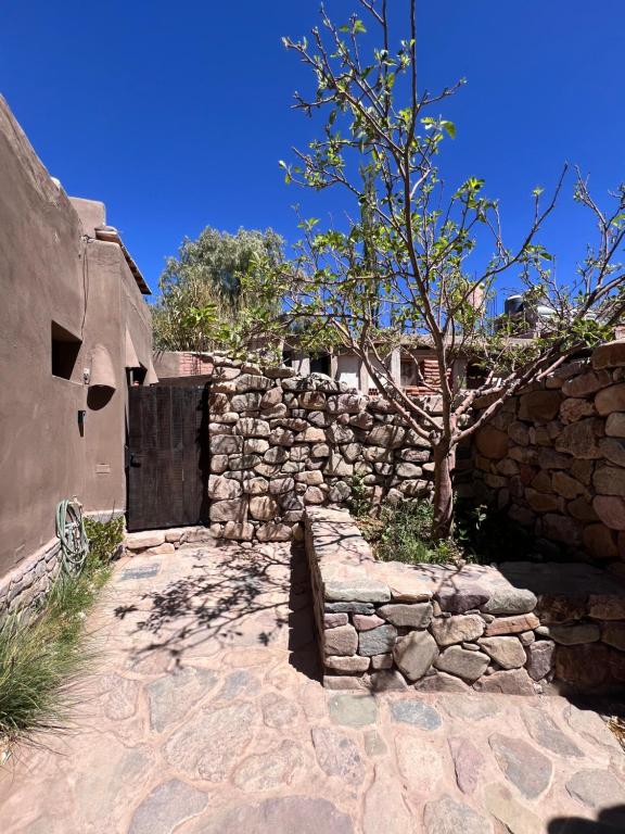 Los Tarcos Guest House TILCARA DÚPLEX - Chambres d'hôtes Tilcara