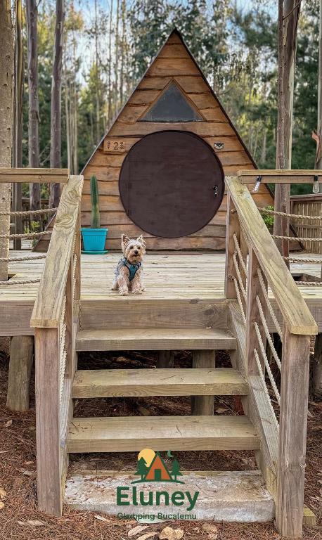 Glamping Eluney Bucalemu - B&B Paredones
