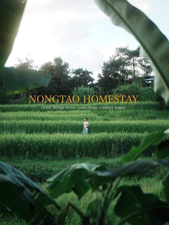 Nongtao Homestay - B&B Chiang Mai