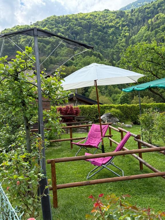 Casa vacanze IL GIRASOLE - B&B Santa Brigida