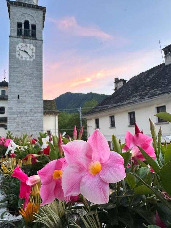 Il Camino - Chambres d'hôtes Anzino