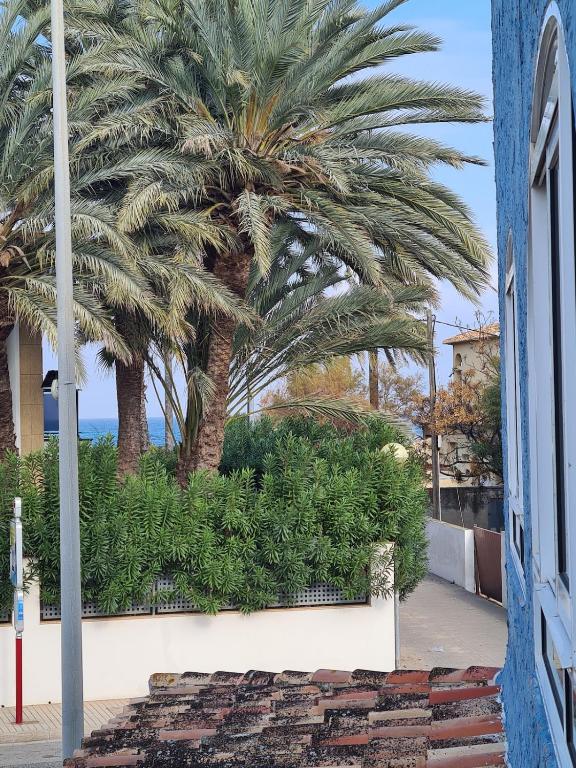 Apartamento Isabel - B&B Denia