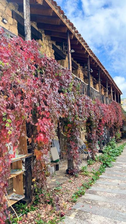 Casas Rurales Chon Alto Tajo - Chambres d'hôtes Peralejos de las Truchas