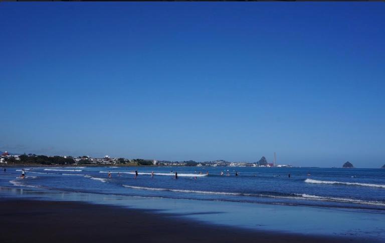 Sunny in Fitzroy - Chambres d'hôtes New Plymouth