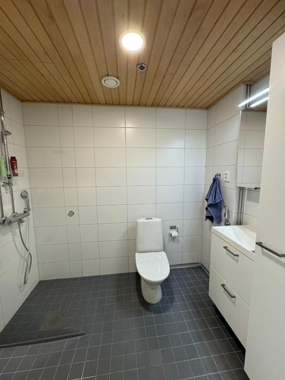 RD Apartments - Areenan Lumo - B&B Tampere