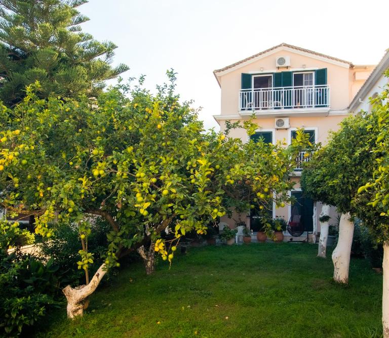 Olga Studios - 2 - Bed and Breakfast Tsilivi