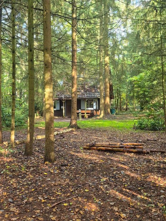 Idyllisch & ruhig - gemütliches Ferienhaus im Wald Hunde willkommen, in Hatten, nahe Oldenburg - Bed and Breakfast Hatten