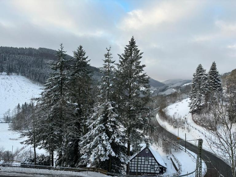 Wohnung mit Weitblick, 50 qm, überdachter Balkon - Ferienwohnung Schmallenberg