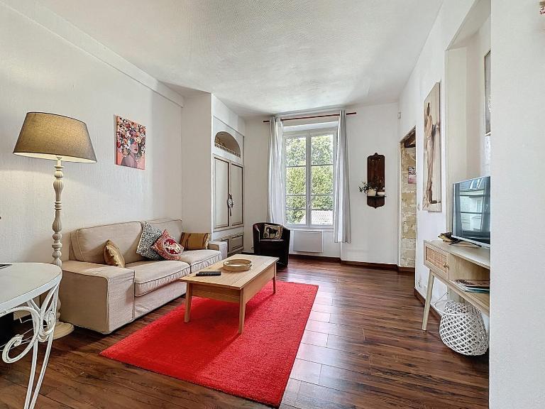 Beautiful apartment in Chantilly center - B&B Chantilly