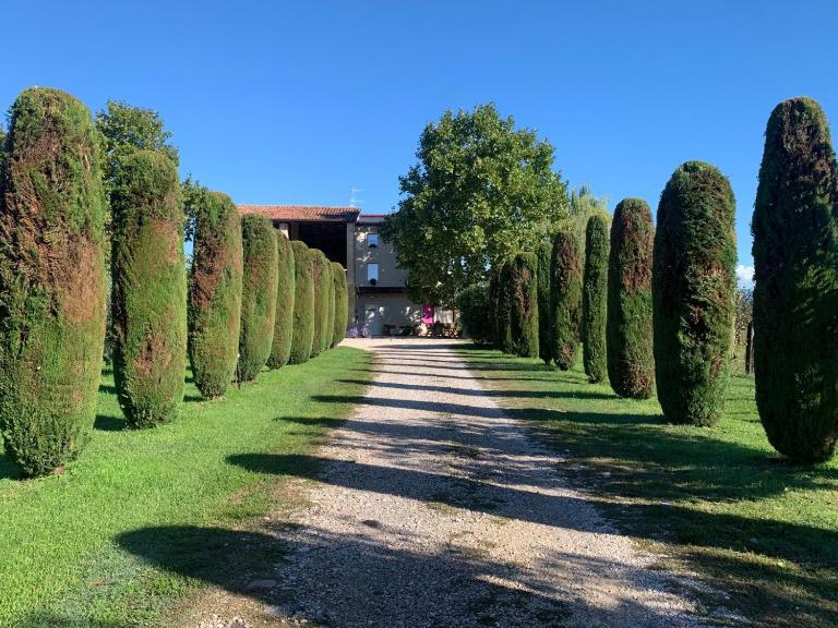 Agriturismo Corte Bonetti - Bed and Breakfast Pescantina