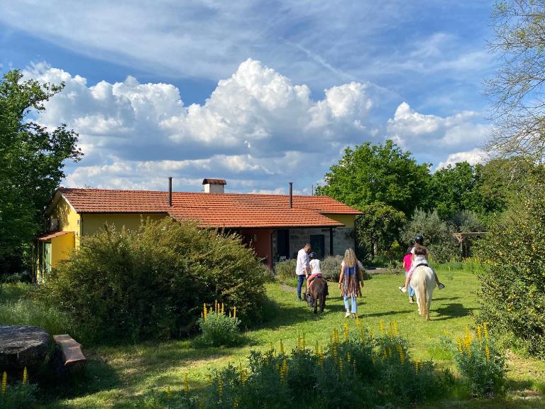 Casa Das Palmeiras-Pedagogic Farm - B&B Mangualde