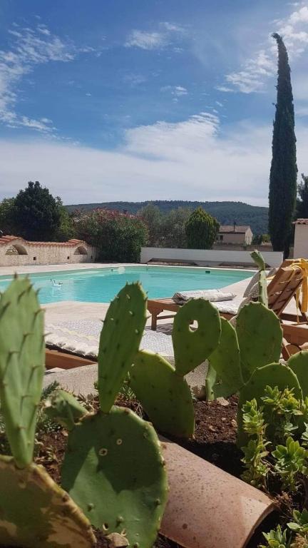 Clos Saint Antoine - Grand T2, terrasse, piscine, terrain de pétanque - B&B Cuges-les-Pins