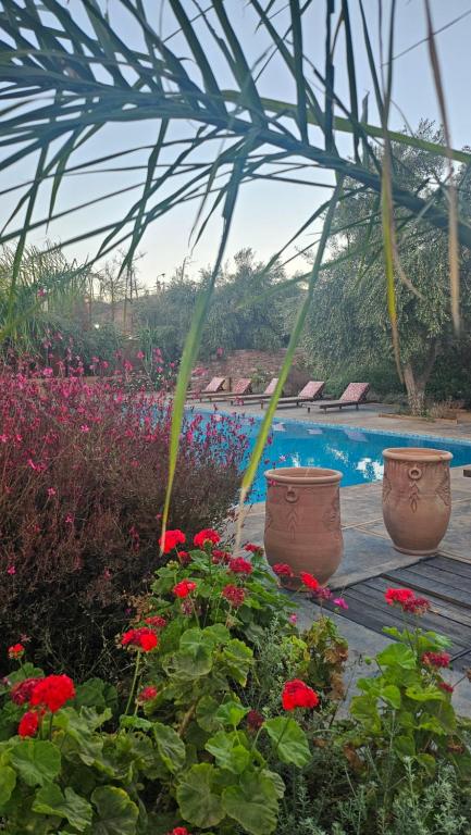Ecolodge Dar bouhouta - B&B Tahannout