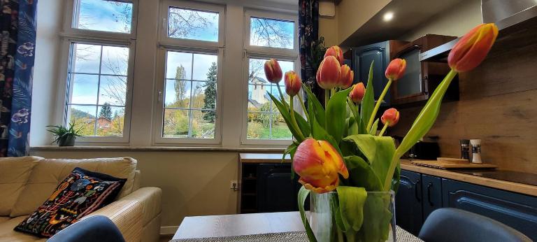 Niebieski apartament pod Borową Górą - B&B Jedlina-Zdrój