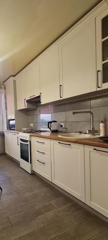 Великогабаритні апартаменти в Центрі - B&B Lutsk
