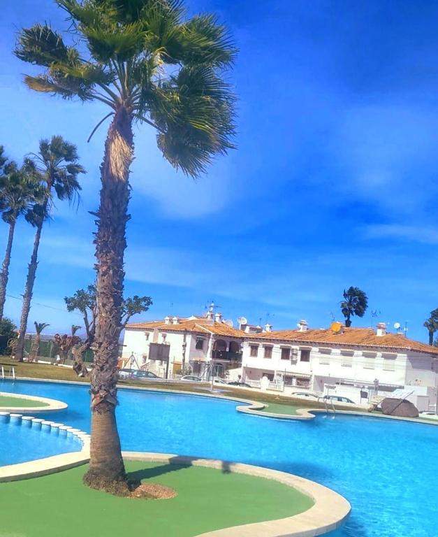 Lago Jardin , CHILL CASA - B&B Torrevieja