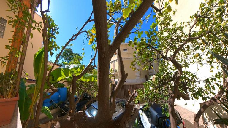Villa Regina - Sylva - B&B Reggio Calabria
