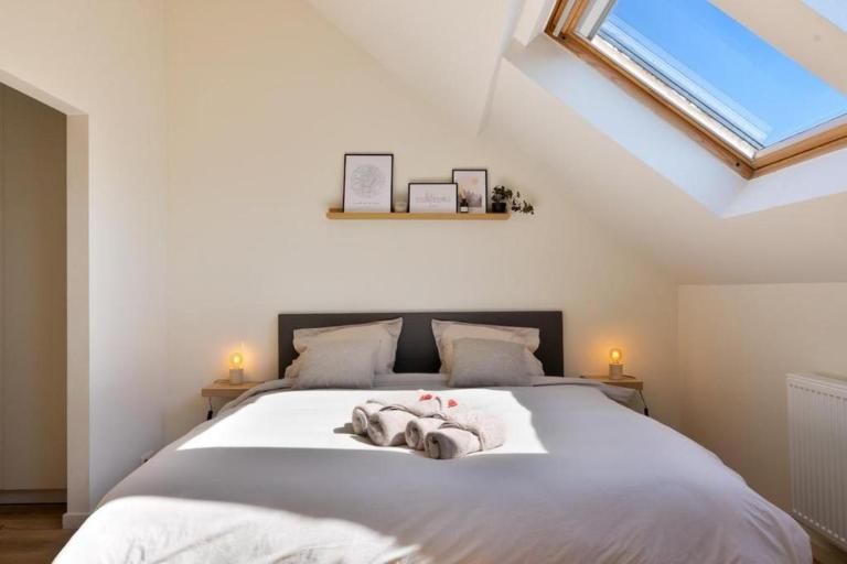 Stylish 1BR close to KMSKA - B&B Anversa
