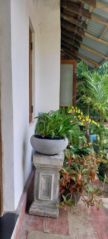 Samaya guesthouse - B&B Tangalle