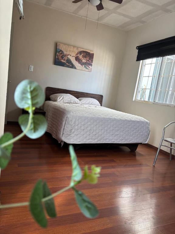 habitacion Cerezo - Chambres d'hôtes Saltillo
