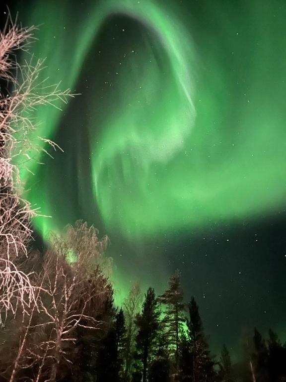 Villa Onnela with sauna,wifi and parking near Santa Village - B&B Rovaniemi