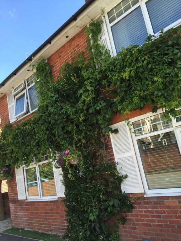 Durlston House - Bed and Breakfast Lymington