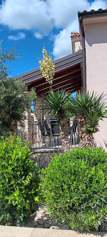 Villa Zara - B&B Poreč