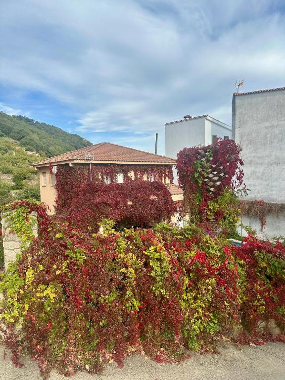 Villa del Jerte - Bed and Breakfast El Torno