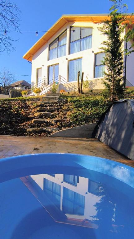Casa Runcu Dambovita - Bed and Breakfast Bădeni
