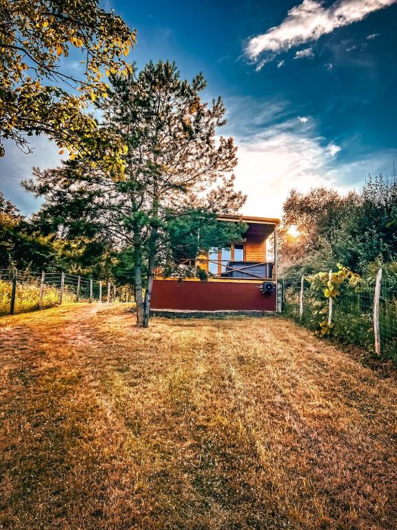 Nature&Chill Treehouses - Bed and Breakfast Sopron