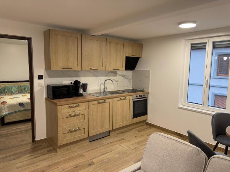 La Tranquillité Citadine - B&B Schiltigheim