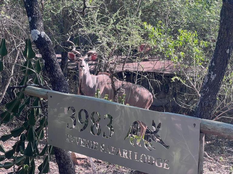 Reverie Safari Lodge, Marloth Park - B&B Marloth Park