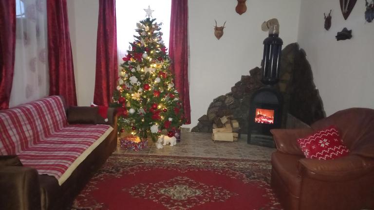 David House - B&B Bicaz