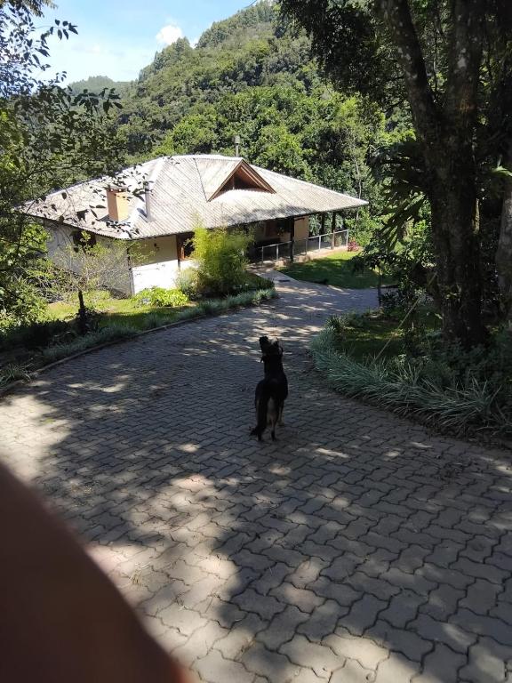 Xixo Casa do Vale Descanso e Natureza Em Gramado - Ferienwohnung Gramado