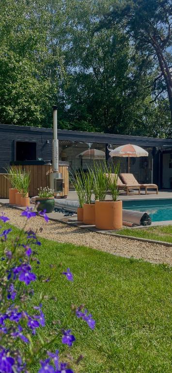 Chambre d Amis - B&B Lokeren