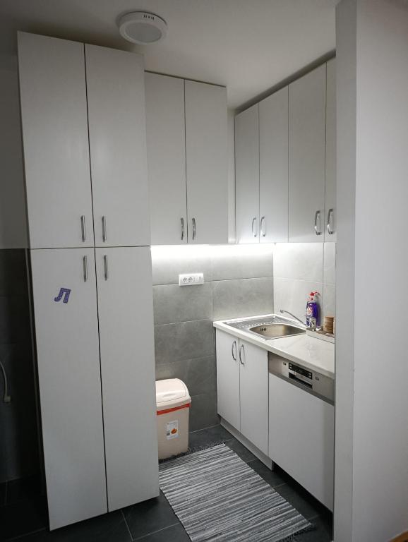 Gray - B&B Valjevo
