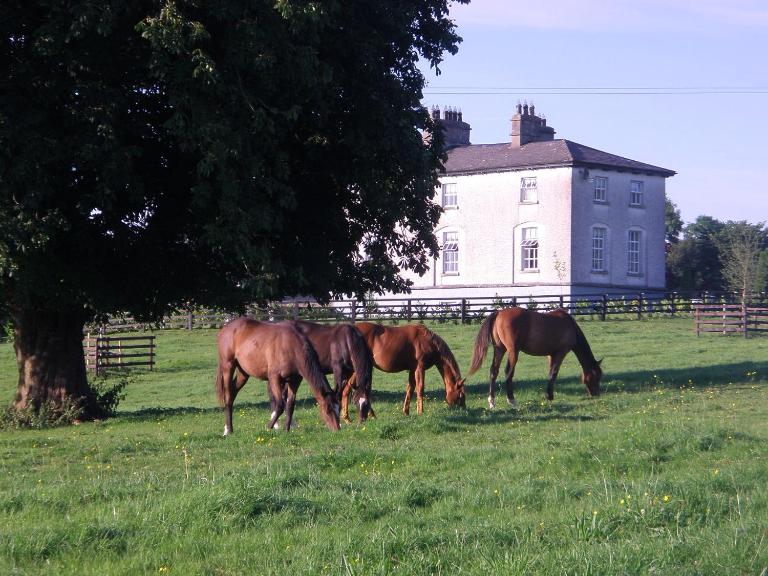 Glebe House - B&B Taghshinny