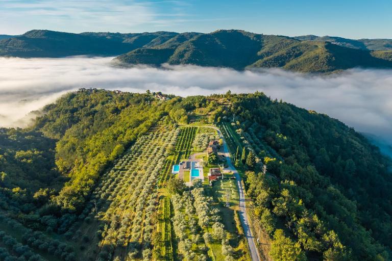 Villa with Private Pool & Lake View near Motovun, Casa Mille Olivi Modern - B&B Buzet