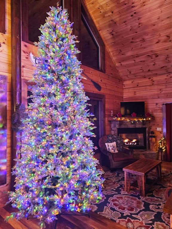 Cardinal Treehouse - Ferienwohnung Bryson City