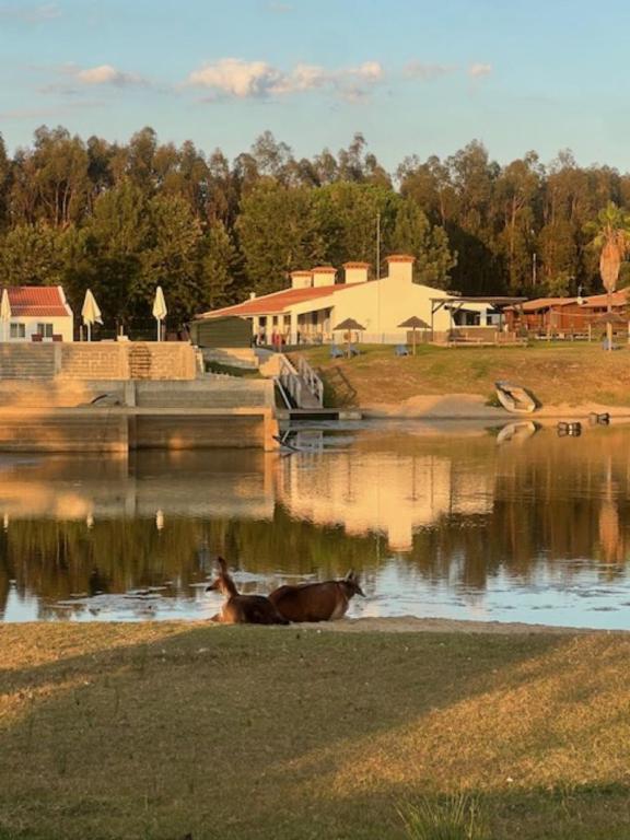 Monte do Lago, Pegões - B&B Pegões