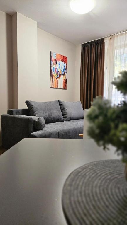 Minkov Apartments, Пампорово - Замъка 2 - Chambres d'hôtes Pamporovo