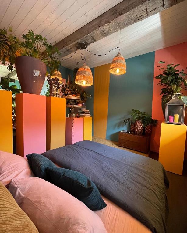 Plantkot, a cozy apartment full of plants of tinykot - B&B Keerselaar