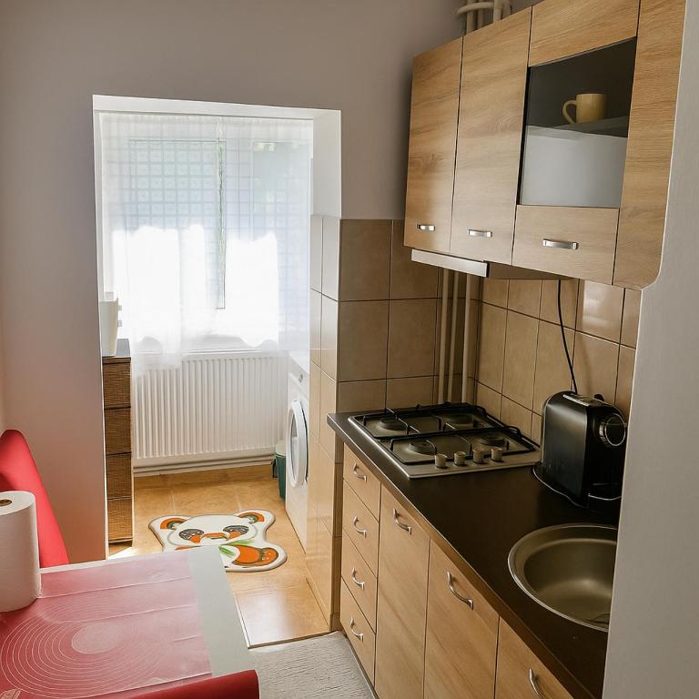 Salcia Riverside Apartment - B&B Galati