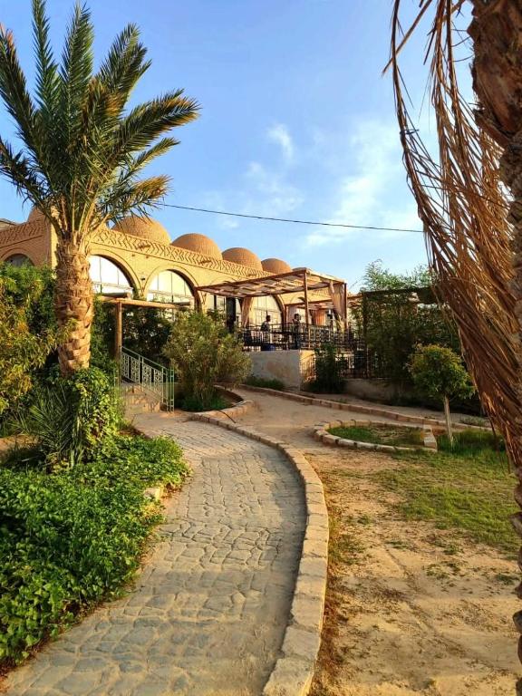 Elhamma Resort Studio - B&B Tozeur
