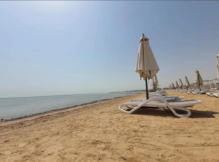 M10-2b-04 mangrove - B&B Hurghada