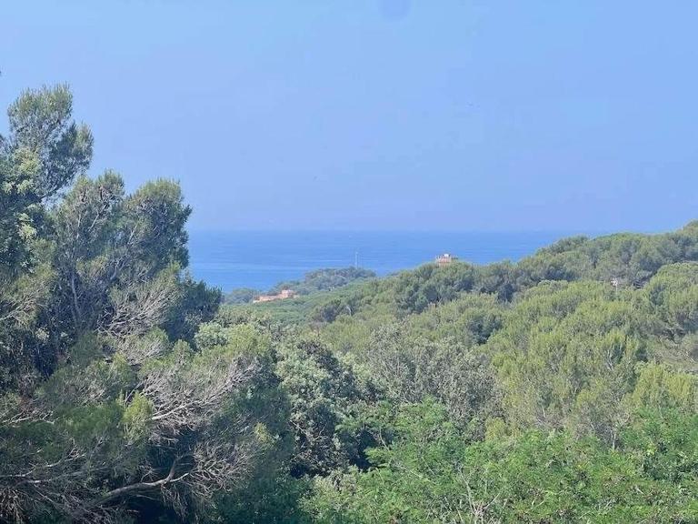 Appartamento vista mare - Ferienwohnung Castiglioncello