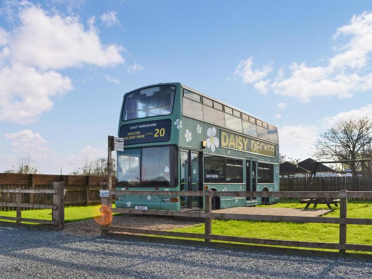 Daisy Decker - Uk48371 - B&B Hollym