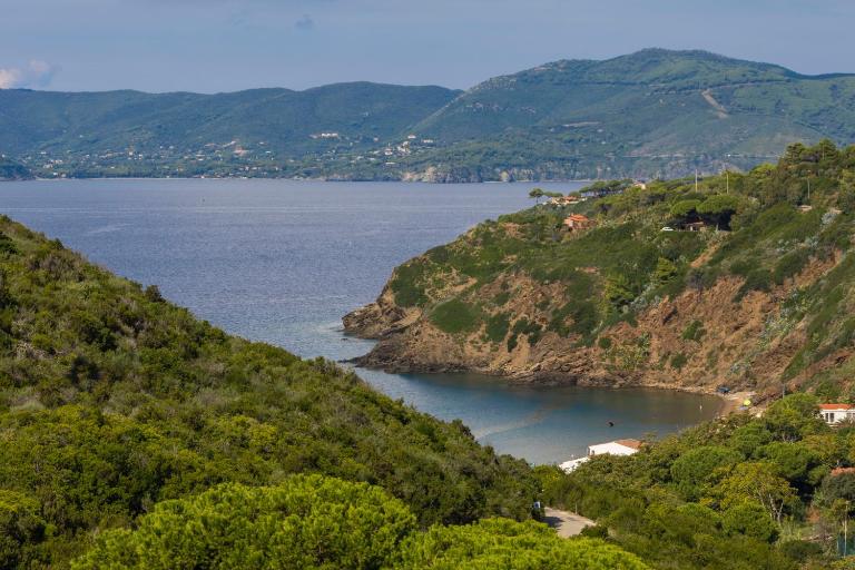 Dhamma Home - Goelba - B&B Palazzo
