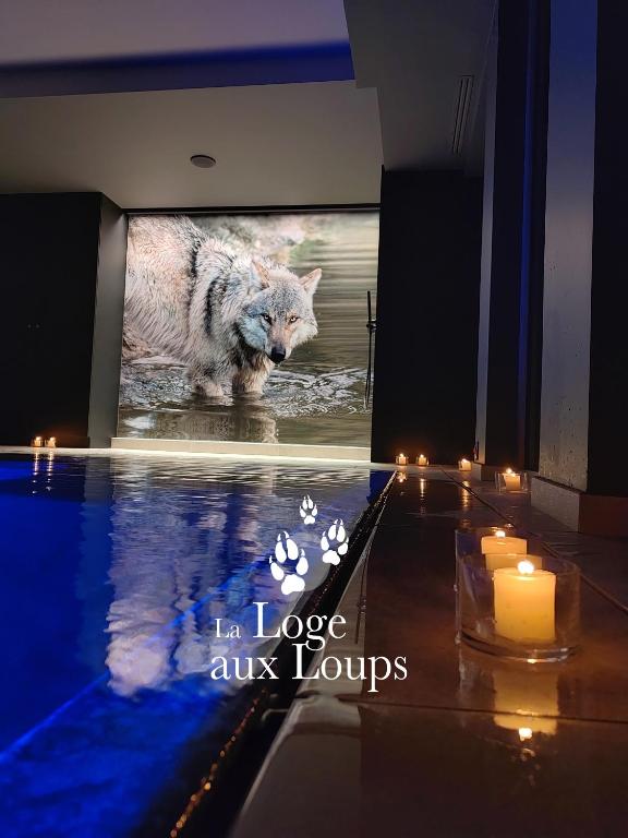 La Loge aux Loups, à 100 m du lac, piscine intérieure, sauna, cheminée, local skis vélos - B&B Gérardmer